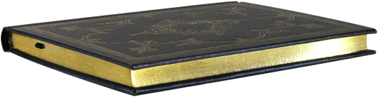 Obsidian-Tagebuch