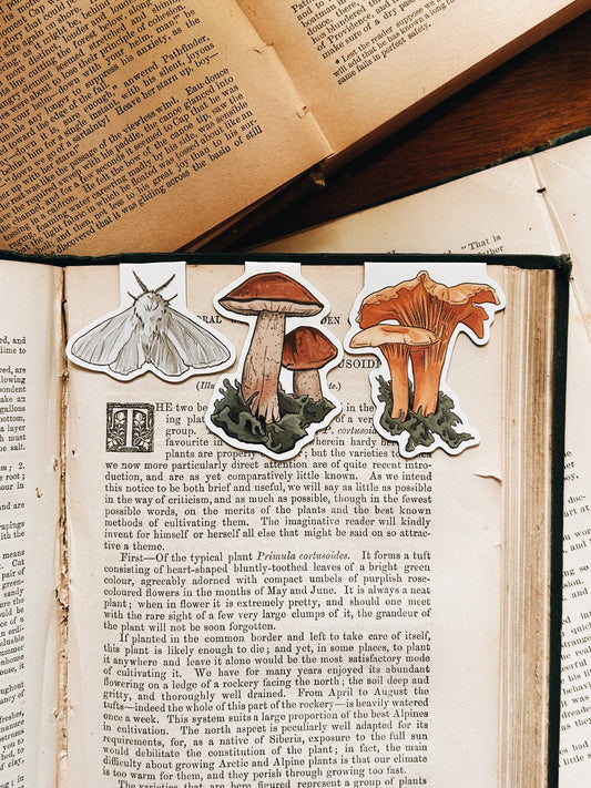 Open book with mushroom and moth stickers on a wooden surface